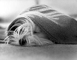 Keeping Blankets Looking & Feeling Great